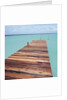 Wooden jetty leading out to sea by Anonymous