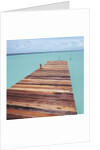 Wooden jetty leading out to sea by Anonymous