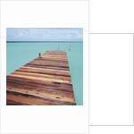 Wooden jetty leading out to sea by Anonymous