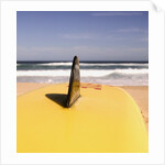Lifeguard's Surfboard on Beach by Anonymous