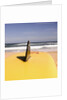 Lifeguard's Surfboard on Beach by Anonymous