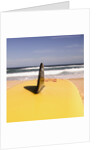 Lifeguard's Surfboard on Beach by Anonymous
