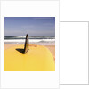 Lifeguard's Surfboard on Beach by Anonymous
