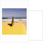 Lifeguard's Surfboard on Beach by Anonymous