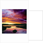 USA, California, Lake Tahoe at dawn by Anonymous