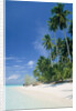 Beach with palms and clear sea, Malaysia, Mabul Island by Anonymous