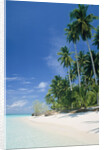 Beach with palms and clear sea, Malaysia, Mabul Island by Anonymous