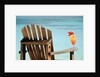 Seychelles, Denis Island, beach chair and fruit cocktail by Anonymous
