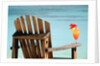 Seychelles, Denis Island, beach chair and fruit cocktail by Anonymous