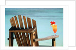 Seychelles, Denis Island, beach chair and fruit cocktail by Anonymous