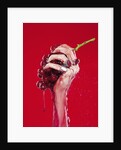 Woman's Hand Squeezing Red Grapes by Anonymous