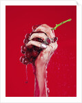 Woman's Hand Squeezing Red Grapes by Anonymous