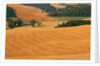 Italy, Tuscany, Crete Senesi by Anonymous