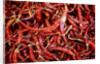 Red chili peppers (Ocotlan market, Oaxaca, Mexico) by Anonymous