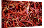 Red chili peppers (Ocotlan market, Oaxaca, Mexico) by Anonymous