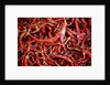 Red chili peppers (Ocotlan market, Oaxaca, Mexico) by Anonymous