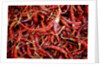 Red chili peppers (Ocotlan market, Oaxaca, Mexico) by Anonymous