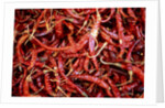 Red chili peppers (Ocotlan market, Oaxaca, Mexico) by Anonymous