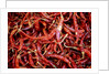 Red chili peppers (Ocotlan market, Oaxaca, Mexico) by Anonymous