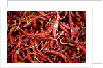 Red chili peppers (Ocotlan market, Oaxaca, Mexico) by Anonymous