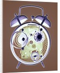Cross-section of Alarm Clock by Anonymous