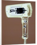 Cross-section of Blowdryer by Anonymous