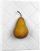 Pear in front of white background by Anonymous