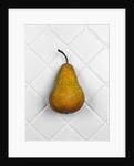 Pear in front of white background by Anonymous