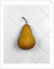 Pear in front of white background by Anonymous