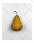 Pear in front of white background by Anonymous