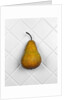Pear in front of white background by Anonymous