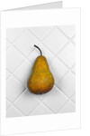 Pear in front of white background by Anonymous