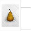 Pear in front of white background by Anonymous