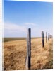 Wooden fence on meadow, St Peter-Ording, Germany by Anonymous