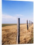 Wooden fence on meadow, St Peter-Ording, Germany by Anonymous