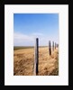 Wooden fence on meadow, St Peter-Ording, Germany by Anonymous