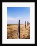Wooden fence on meadow, St Peter-Ording, Germany by Anonymous