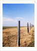 Wooden fence on meadow, St Peter-Ording, Germany by Anonymous