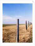 Wooden fence on meadow, St Peter-Ording, Germany by Anonymous