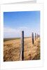 Wooden fence on meadow, St Peter-Ording, Germany by Anonymous