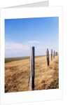 Wooden fence on meadow, St Peter-Ording, Germany by Anonymous