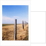 Wooden fence on meadow, St Peter-Ording, Germany by Anonymous