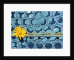Sunflower by Anonymous