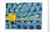 Sunflower by Anonymous