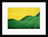 Rape field beside green field by Anonymous
