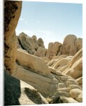 Stones, Joshua Tree National Park in southern california by Anonymous