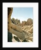 Stones, Joshua Tree National Park in southern california by Anonymous