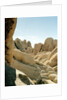 Stones, Joshua Tree National Park in southern california by Anonymous