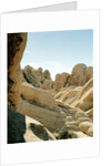 Stones, Joshua Tree National Park in southern california by Anonymous