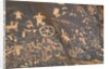 Petroglyphs at Newspaper Rock by Anonymous